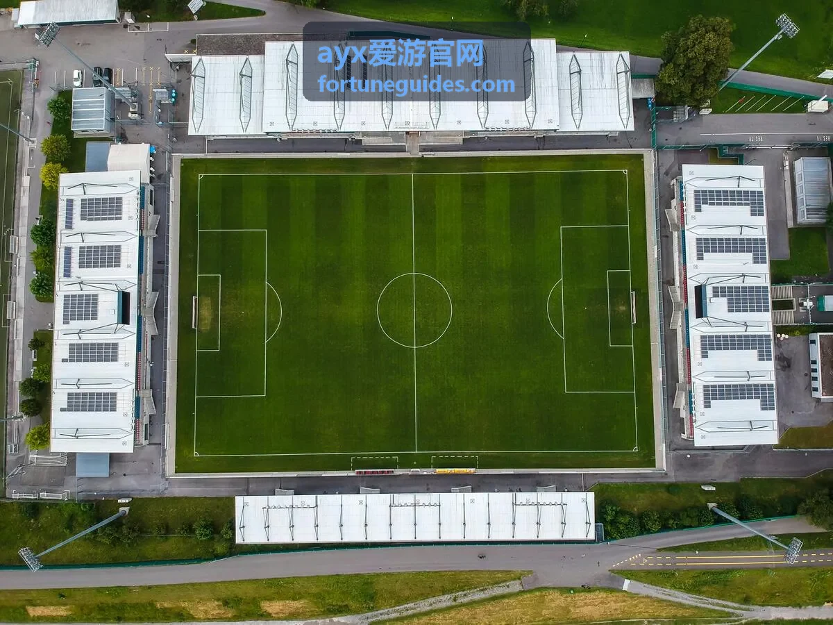 ayx爱游官网 海岛线路会员专属内容封面