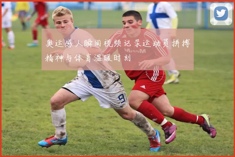 奥运感人瞬间视频记录运动员拼搏精神与体育温暖时刻