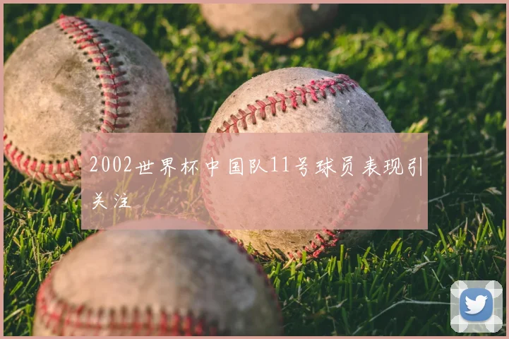 2002世界杯中国队11号球员表现引关注
