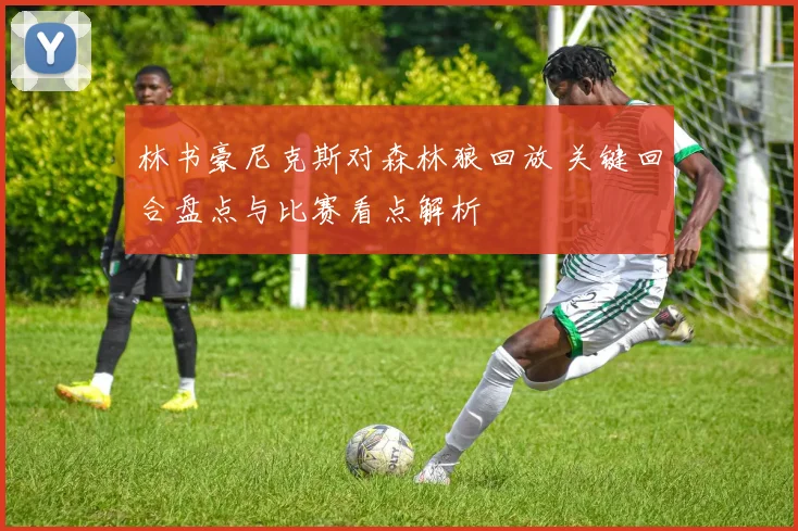 林书豪尼克斯对森林狼回放 关键回合盘点与比赛看点解析