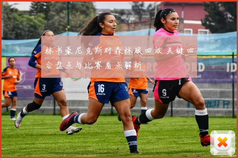 林书豪尼克斯对森林狼回放 关键回合盘点与比赛看点解析