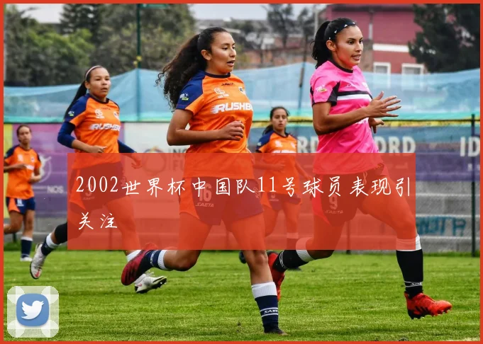 2002世界杯中国队11号球员表现引关注