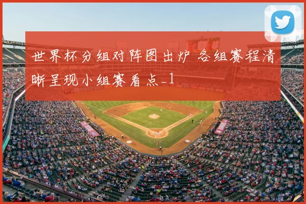 世界杯分组对阵图出炉 各组赛程清晰呈现小组赛看点_1