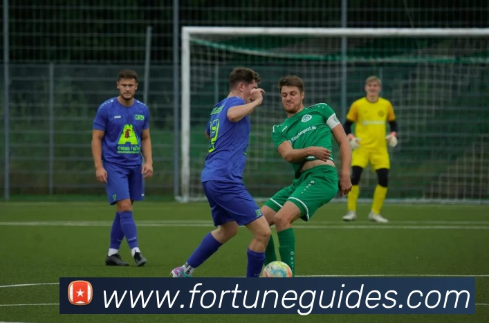 多媒体互动体验